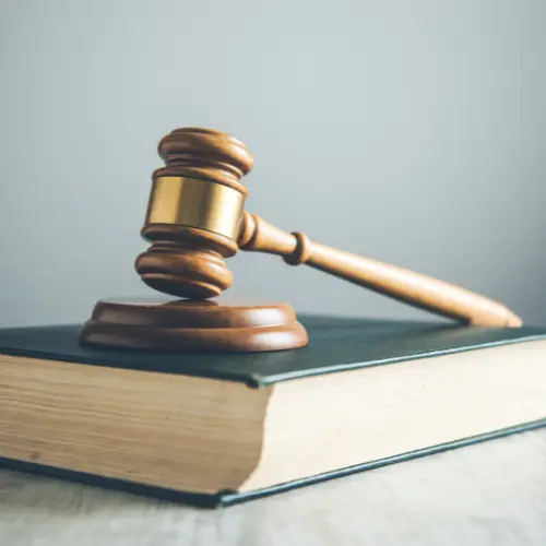 Derecho Constitucional 